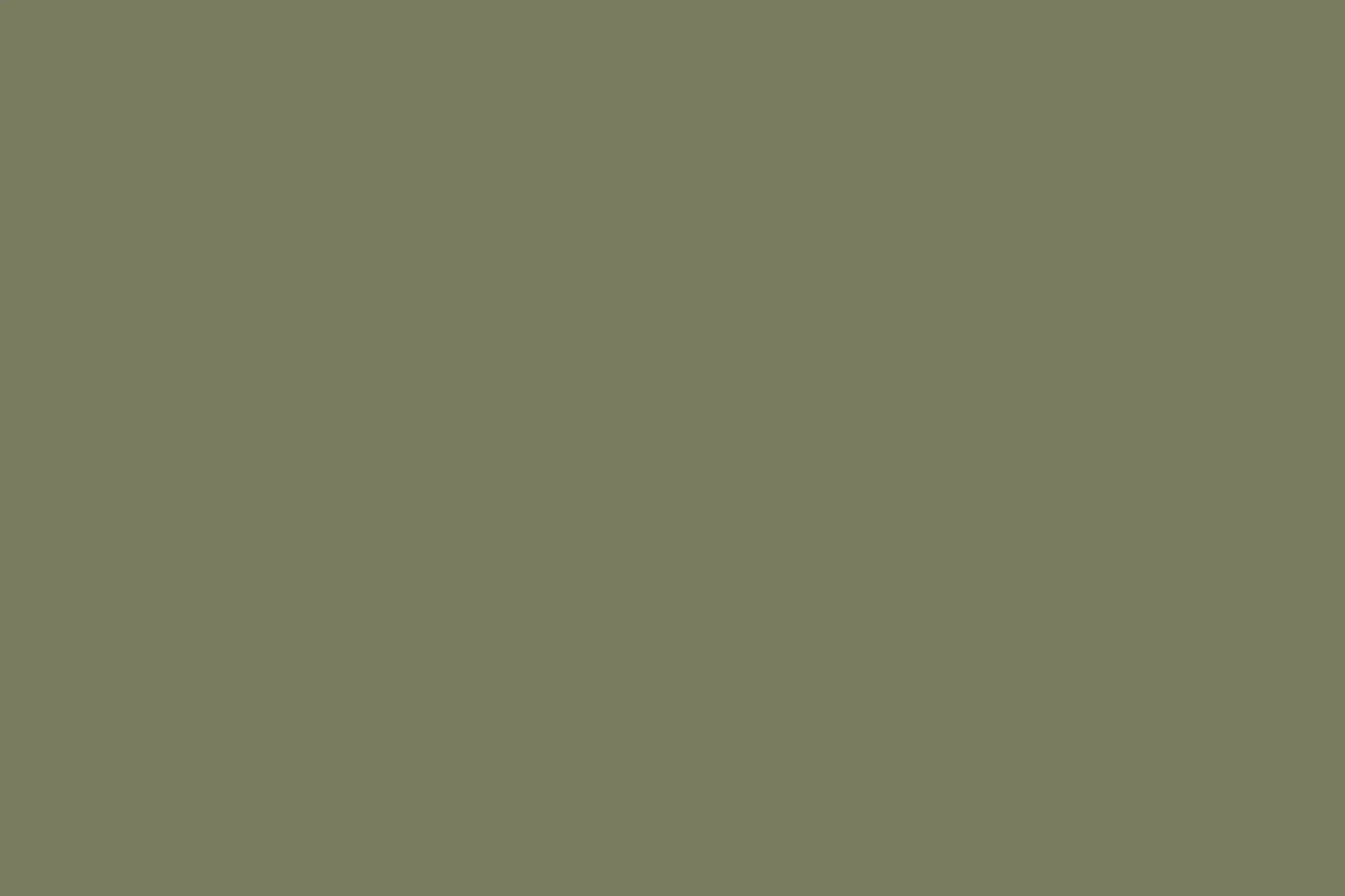 placeholder 03